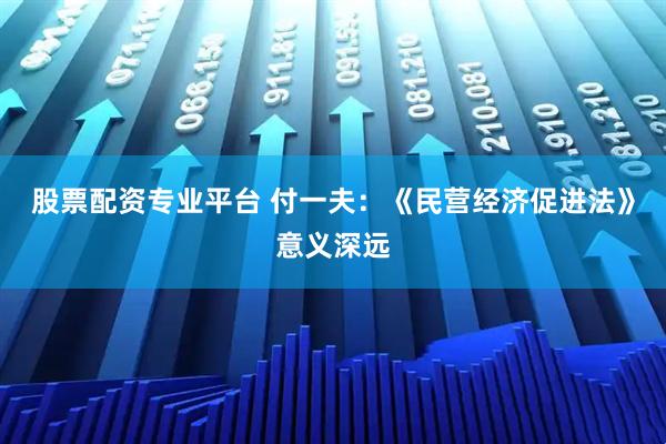 股票配资专业平台 付一夫：《民营经济促进法》意义深远